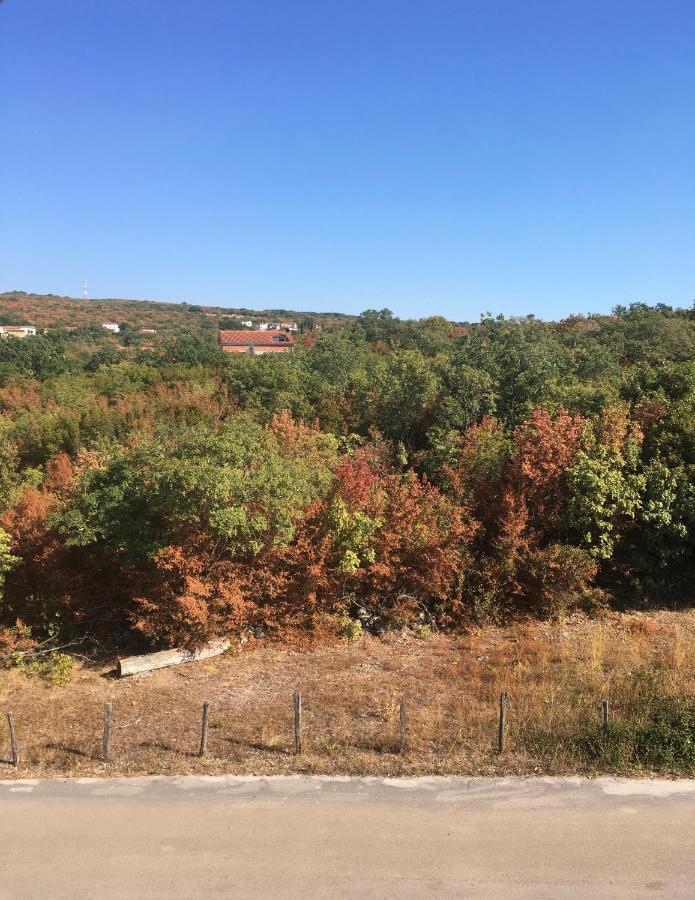 Mitra Apartments Malinska Dış mekan fotoğraf